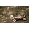 Buggy Acme Warrior 1/8 Pro