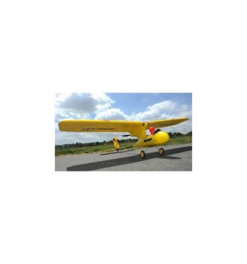 Acme RC Wing Dragon Slow Flyer RTF