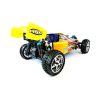 Buggy HSP Backwash 1:10 Nitro