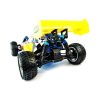 Buggy HSP Backwash 1:10 Nitro