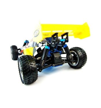 Buggy HSP Backwash 1:10 Nitro