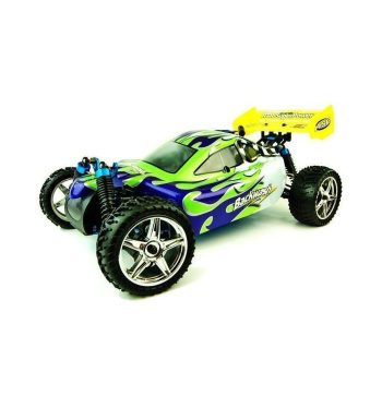Buggy HSP Backwash 1:10 Nitro