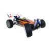 Buggy Acme Werewolf Pro 1:8 Brushless