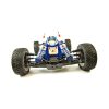 Buggy Acme Werewolf Pro 1:8 Brushless